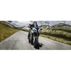 Dunlop MUTANT 110/70 ZR 17 M+S 54W TL Delantera DOT38/21