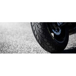 Dunlop MUTANT 110/70 ZR 17 M+S 54W TL Delantera DOT38/21