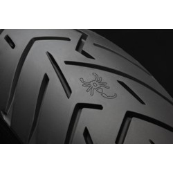 Pirelli Scorpion Trail II 120/70 ZR 19 M/C 60W TL (U)  Front