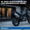 Michelin Anakee WILD 110/80 R19 59R Y 150/70 R17 70R TL/TT